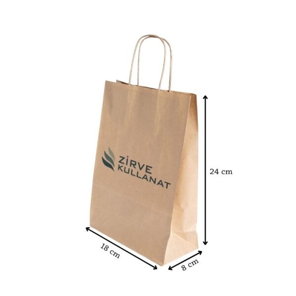 Burgu Saplı Kağıt Çanta 19x24x8 cm