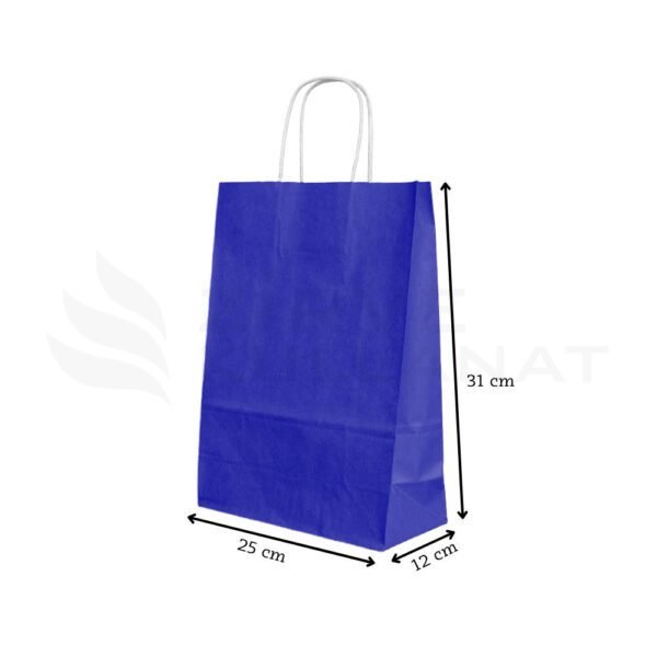 25x31x12 cm Lacivert Kağıt Poşet